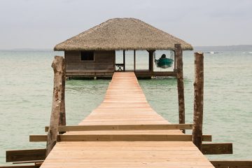 IMG_5492