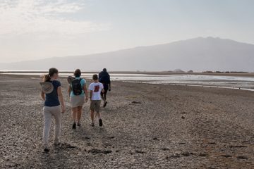 IMG_6882