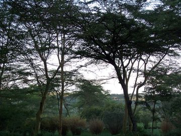 100_1458.jpg