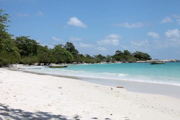 IMG_0750.jpg