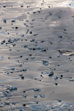 29022012-263.jpg