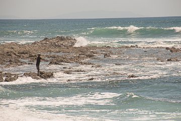 IMG_8926