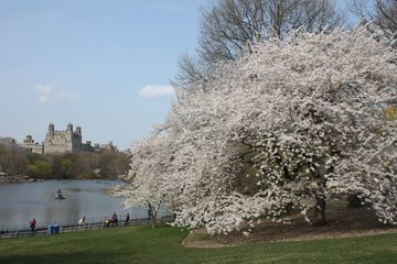 IMG_1349.jpg