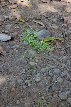 23022012-129.jpg