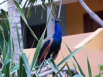 100_2780.jpg