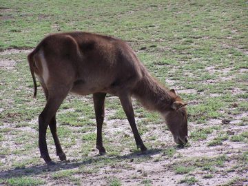 100_1305.jpg