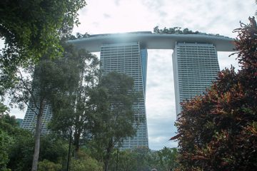 IMG_9755