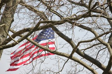 IMG_1158.jpg