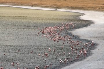 IMG_6567