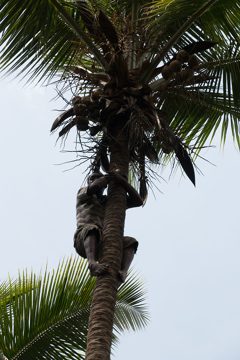 IMG_7820