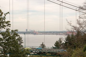 IMG_0924