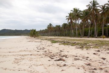 09032013-88.jpg