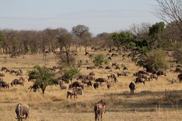 IMG_7756