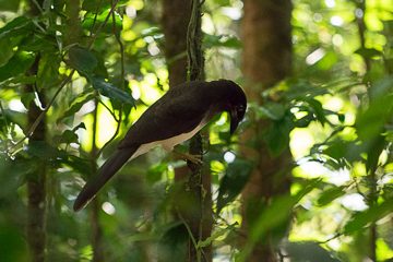 IMG_8686