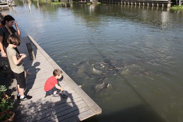 IMG_0174.jpg