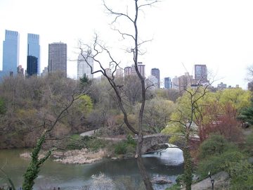 100_0484.jpg