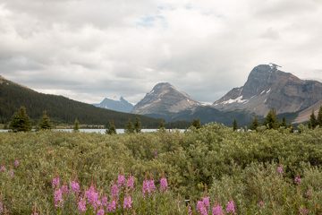 IMG_0366