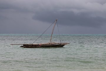 IMG_7920