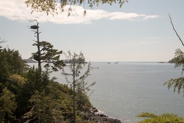 IMG_0889