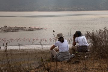 IMG_6556