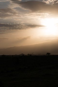 IMG_7046