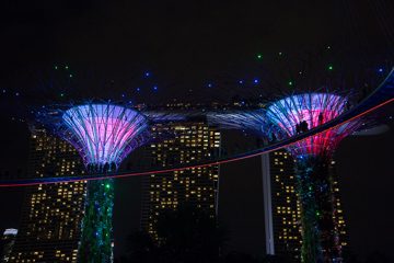 IMG_9785