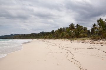 09032013-93.jpg