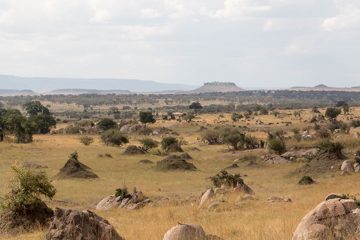 IMG_7716