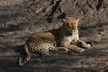 IMG_7248