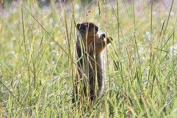 IMG_0461