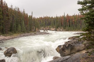 IMG_0134