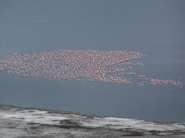 100_1419.jpg