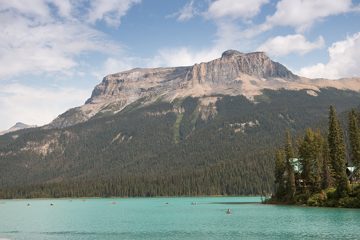 IMG_0515