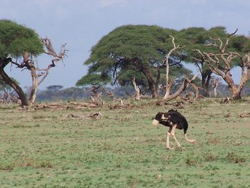 100_1340.jpg