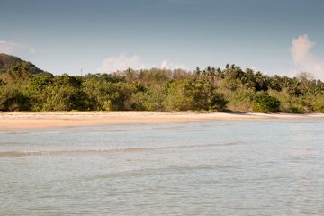 IMG_1150