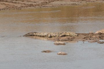 IMG_7472