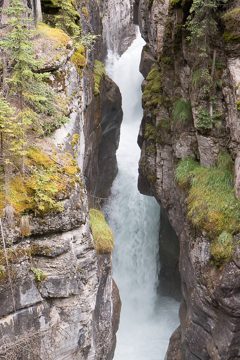 IMG_0010