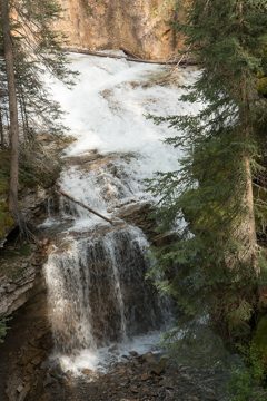 IMG_0562