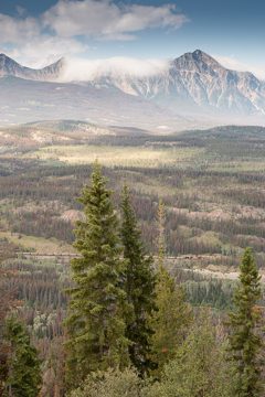 IMG_9981