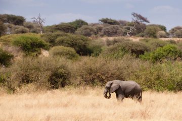 P-IMG_6316-2