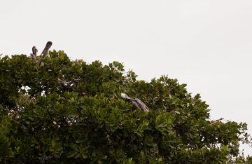 05032013-36.jpg