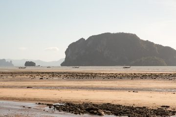 IMG_1045