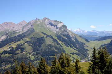 12082013-142.jpg