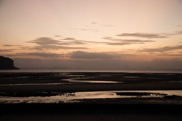 IMG_0974