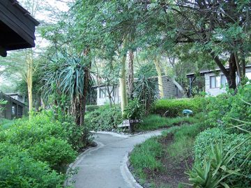 100_1459.jpg
