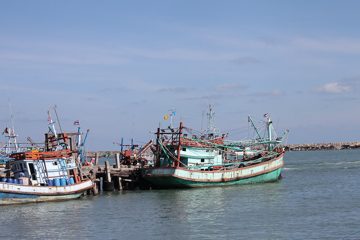 IMG_0808.jpg