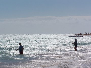 100_2668.jpg