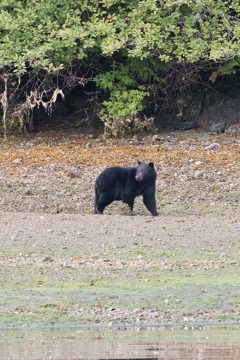 IMG_0802