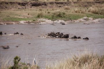 P-IMG_6943-2