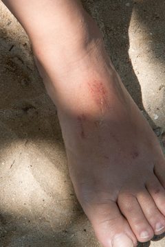 IMG_1078